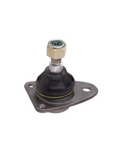 Rt Rotula Sup. R.18-