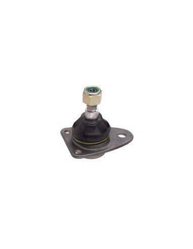 Rt Rotula Sup. R.18-