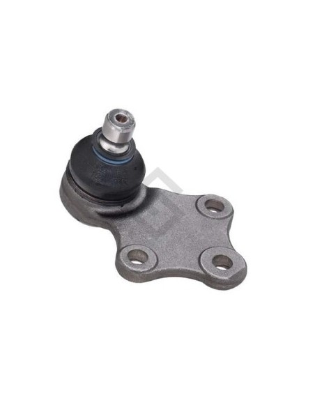 Pg Rotula P.306 - 95/... - Cono 16mm.