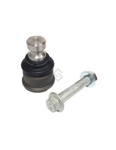 Rt Rotula Inf. Master 08/12 - 24mm