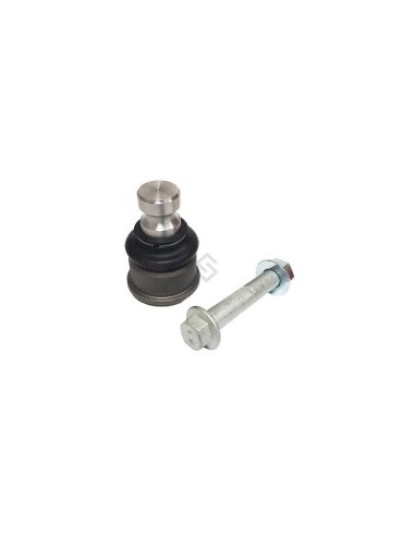 Rt Rotula Inf. Master 08/12 - 24mm