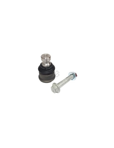 Rt Rotula Inf. Master 08/12 - 24mm