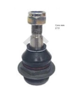 Rt Rotula Der. Master Iii 13/...