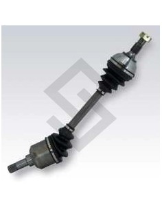 Pg Semieje P.306 Corto