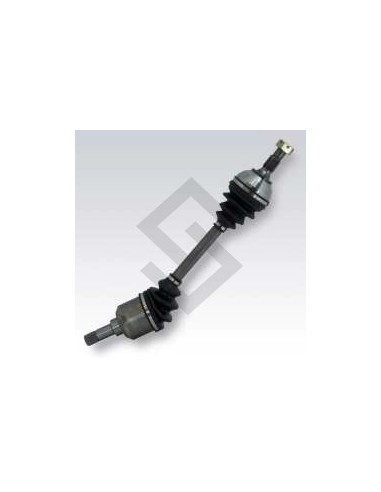 Pg Semieje P.306 Corto