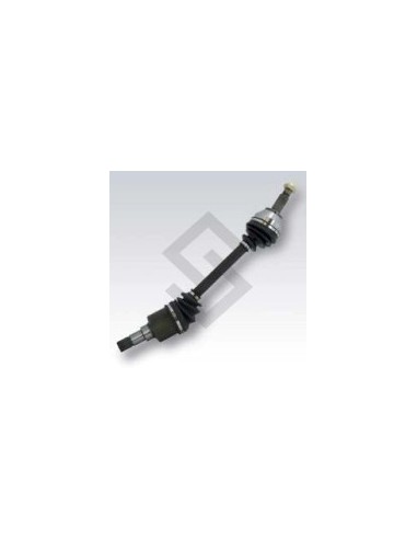 Fd Semieje Izq. Focus - (25 / 26) - 615mm