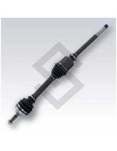 Pg Semieje Der. P.206 1.9d - (21 / 24) - 927mm