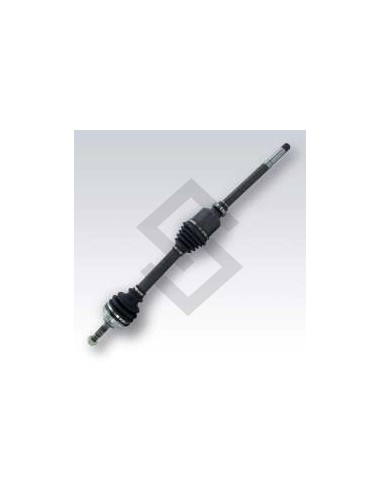 Pg Semieje Der. P.206 1.9d - (21 / 24) - 927mm