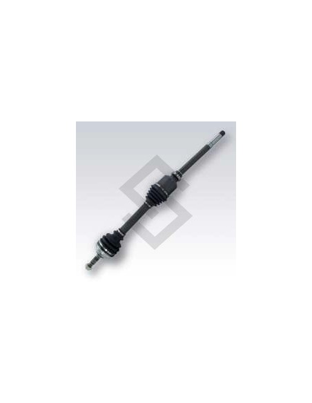 Pg Semieje Izq. P.206 1.9d - (21 / 24) - 644mm