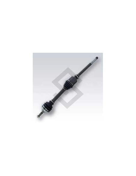 Rt Semieje Der. Clio Ii - (21 / 23) - 698mm