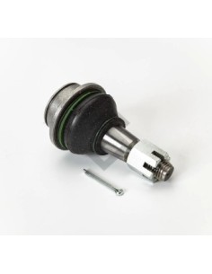 Fd Rotula Inf. Ranger 12/...