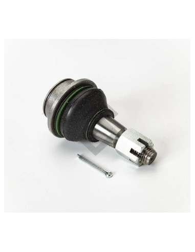 Fd Rotula Inf. Ranger 12/...