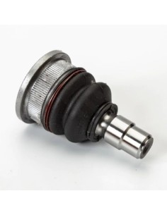 Ft Rotula F.500 11/...