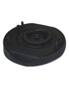 Rt Cazoleta Der. Laguna